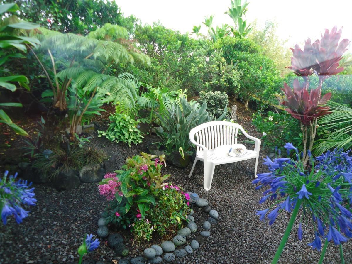 Guest House In Hilo Bagian luar foto